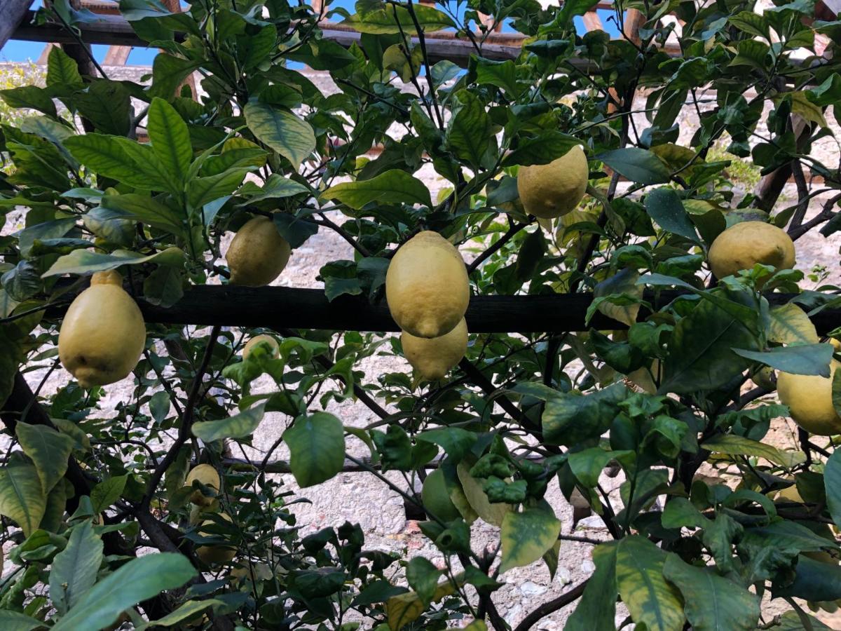 Appartamento Trentino II Comano Terme Eksteriør billede