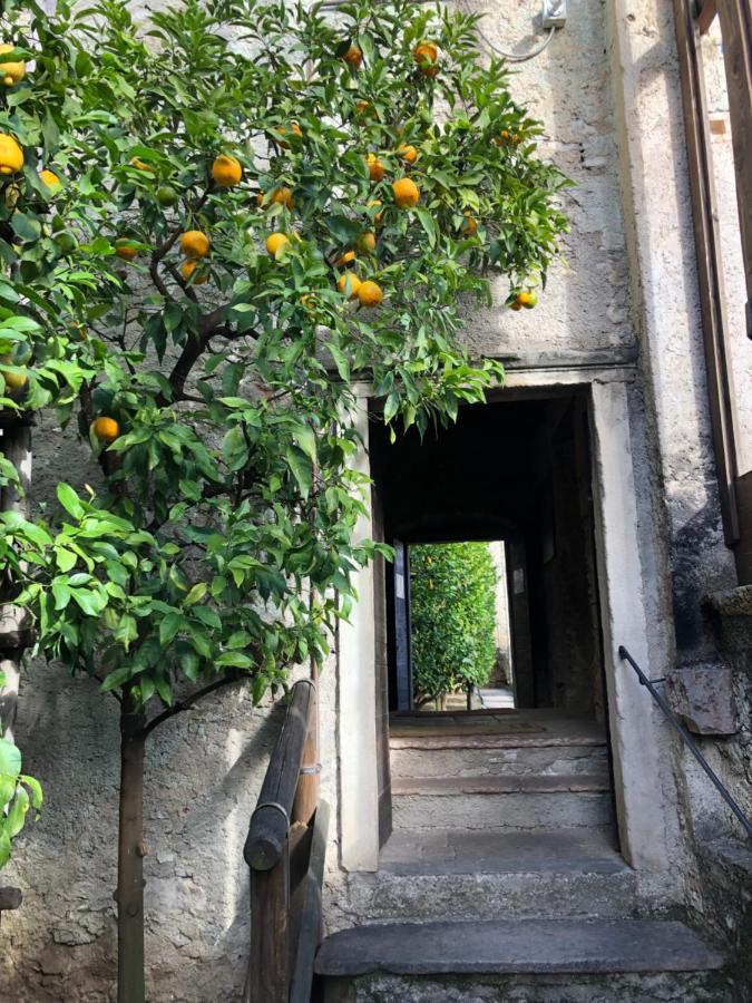 Appartamento Trentino II Comano Terme Eksteriør billede
